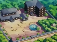 Academia Pokémon Jiu-jitsu