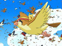 Archivo:EP482 Pikachu volando con Pidgeot.png