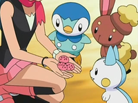 Archivo:EP530 Maya dando pokochos a sus Pokémon.png