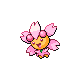 Imagen de Cherrim soleado variocolor macho o hembra en Pokémon Platino