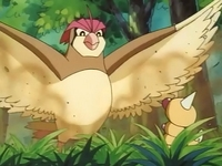 Archivo:EP004 Pidgeotto contra Weedle.png