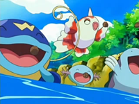 Archivo:EP497 Whiscash, Goldeen, Wooper y Quagsire.png