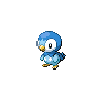 Archivo:Piplup NB.png