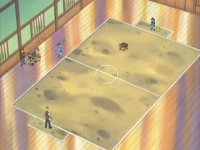 Campo de batalla del Gimnasio de Petalia en el anime