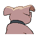 Imagen posterior de Granbull variocolor en Pokémon Diamante y Pokémon Perla