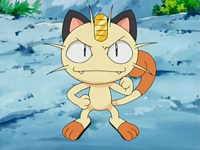 Archivo:EP532 Meowth.png