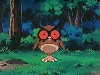 Archivo:EP123 Hoothoot (5).png