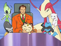 Archivo:EP561 Meowth imaginándose como parte de la colección de Pokémon raros de Giovanni.png