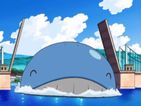 Archivo:EP578 Wailord (2).png