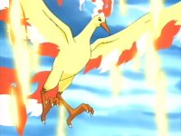 EH18 Moltres.jpg