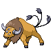 Archivo:Tauros HGSS 2.png