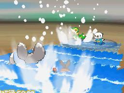 Archivo:Tepig y Minccino VS Snivy y Oshawott.jpg