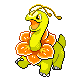 Meganium DP variocolor.png