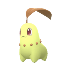 Chikorita