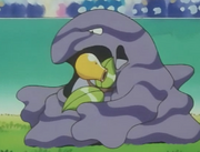 Archivo:EP079 Muk contra Bellsprout.png