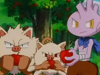 Archivo:EP235 Primeape, Mankey y Tyrogue.png