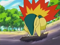 Archivo:EP264 Cyndaquil (5).png