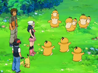 Archivo:EP556 Psyduck felices.png