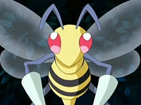 Archivo:EP514 Beedrill.png