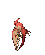 Talonflame
