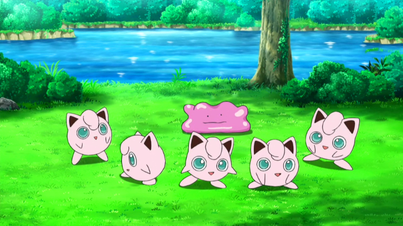 Archivo:EP989 Jigglypuff y Ditto.png