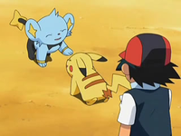 Archivo:EP559 Pikachu con Shinx.png