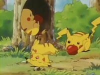 Archivo:EP039 Pikachu comiendo y jugando.png