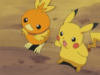 Archivo:EP349 Pikachu y Torchic.png