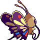 Imagen posterior de Beautifly variocolor hembra en Pokémon Platino