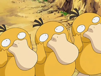 Archivo:EP556 Psyduck (7).png
