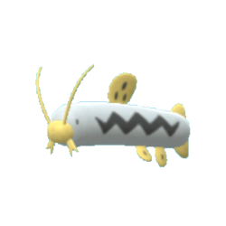 Barboach