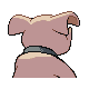 Imagen posterior de Granbull variocolor en Pokémon Platino
