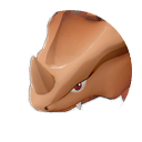 Rhyhorn