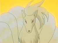 EP171 Ninetales.jpg