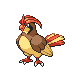 Pidgeotto HGSS.png