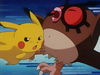 Archivo:EP133 Pikachu golpeando a Hoothoot.png