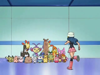 Archivo:EP553 Maya con los Pokémon.png