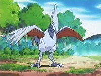 Archivo:EP154 Skarmory (2).png
