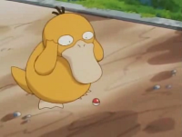 Archivo:EP027 Psyduck.png