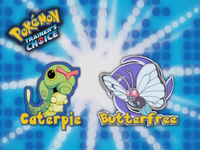 Butterfree.