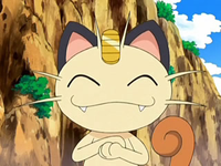Archivo:EP556 Meowth.png