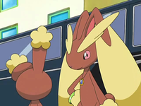 Archivo:EP555 Lopunny.png