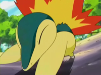 Archivo:EP264 Cyndaquil (6).png