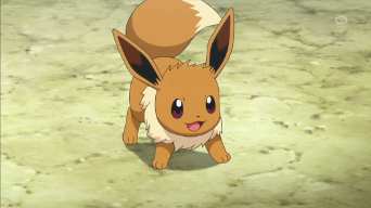 Archivo:EP893 Eevee.png