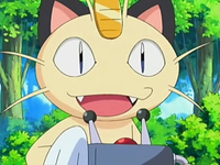 Archivo:EP527 Meowth.png