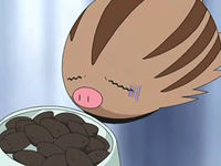 Swinub asqueado al ver los poffins/pokochos chungos de Ash.