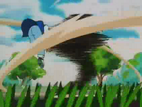 Pidgey salvaje usando tornado contra Ash.