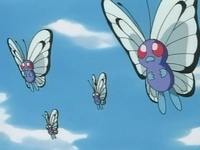 Archivo:EP021 Butterfree (1).png