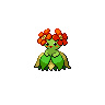 Bellossom NB.png
