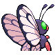 Imagen posterior de Butterfree variocolor macho en Pokémon Platino